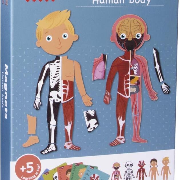 Juego Magnético “El Cuerpo Humano”