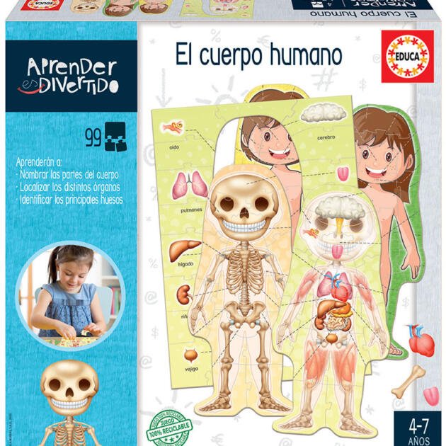 Aprender es Divertido - El cuerpo humano