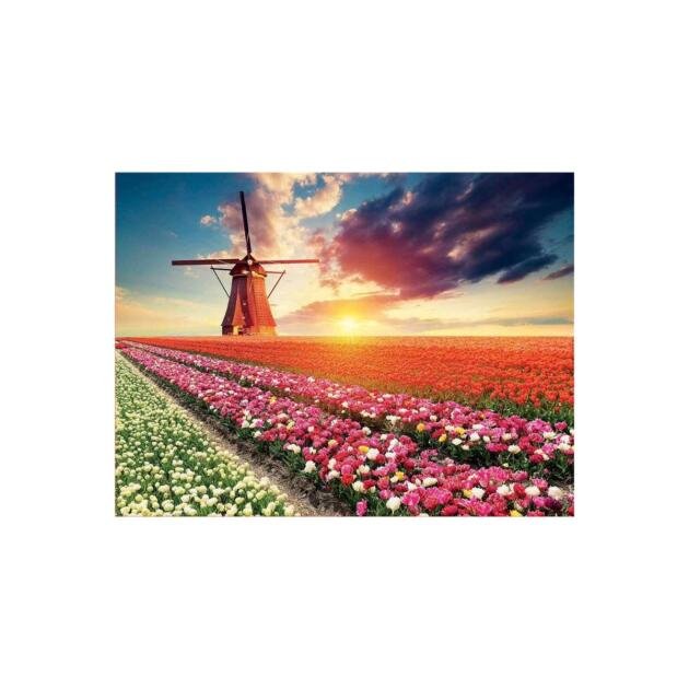 Puzzle 1500 Pcs Paisaje Tulipanes